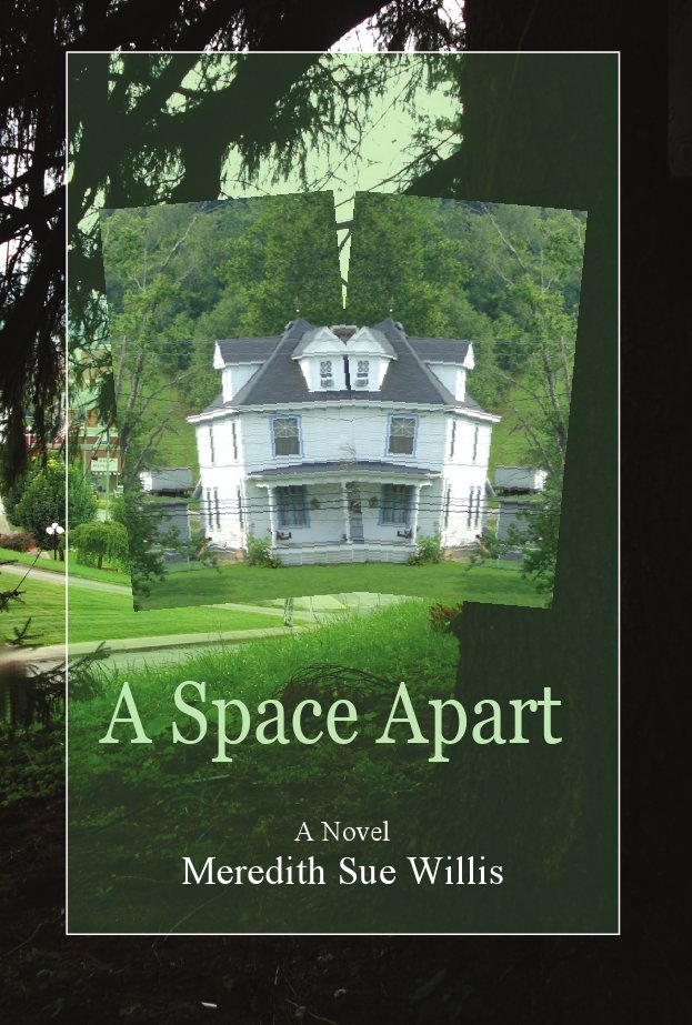 A Space Apart Ebook Cover Image
